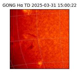 gong - 2025-03-31T15:00:22
