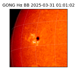 gong - 2025-03-31T01:01:02