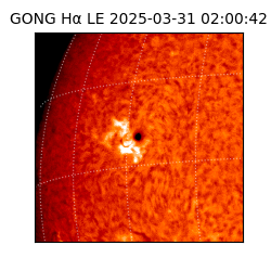 gong - 2025-03-31T02:00:42