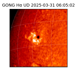 gong - 2025-03-31T06:05:02