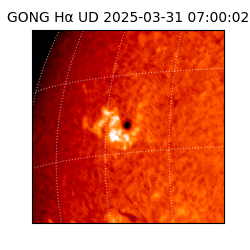 gong - 2025-03-31T07:00:02