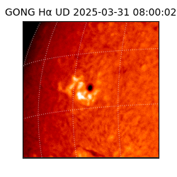 gong - 2025-03-31T08:00:02