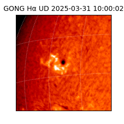 gong - 2025-03-31T10:00:02