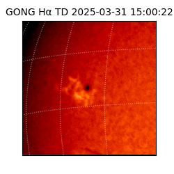 gong - 2025-03-31T15:00:22