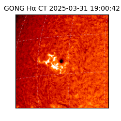 gong - 2025-03-31T19:00:42