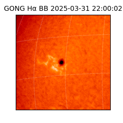 gong - 2025-03-31T22:00:02