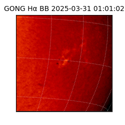 gong - 2025-03-31T01:01:02