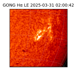 gong - 2025-03-31T02:00:42