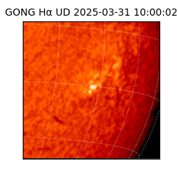 gong - 2025-03-31T10:00:02