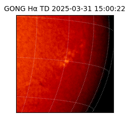 gong - 2025-03-31T15:00:22