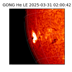 gong - 2025-03-31T02:00:42