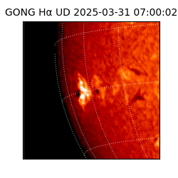 gong - 2025-03-31T07:00:02