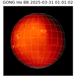 gong - 2025-03-31T01:01:02