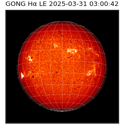 gong - 2025-03-31T03:00:42