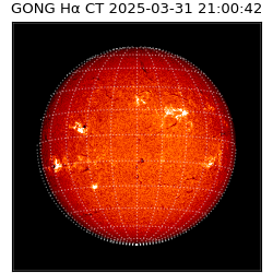 gong - 2025-03-31T21:00:42