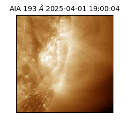 saia - 2025-04-01T19:00:04.843000