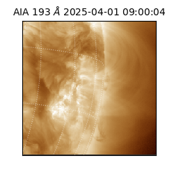 saia - 2025-04-01T09:00:04.846000