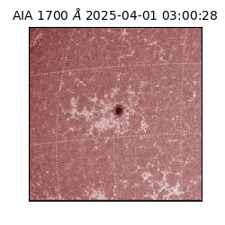 saia - 2025-04-01T03:00:28.719000