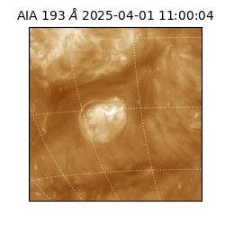 saia - 2025-04-01T11:00:04.846000