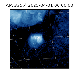 saia - 2025-04-01T06:00:00.626000