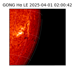 gong - 2025-04-01T02:00:42