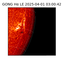 gong - 2025-04-01T03:00:42