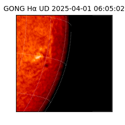 gong - 2025-04-01T06:05:02