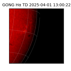 gong - 2025-04-01T13:00:22