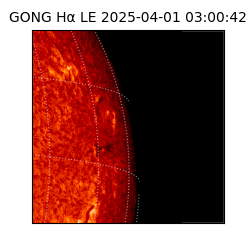 gong - 2025-04-01T03:00:42