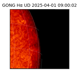 gong - 2025-04-01T09:00:02