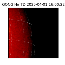 gong - 2025-04-01T16:00:22