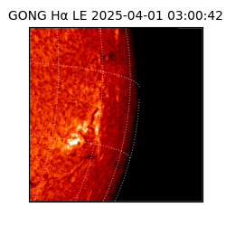 gong - 2025-04-01T03:00:42