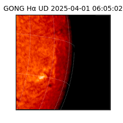 gong - 2025-04-01T06:05:02