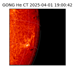gong - 2025-04-01T19:00:42