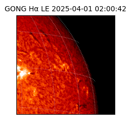 gong - 2025-04-01T02:00:42