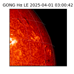 gong - 2025-04-01T03:00:42