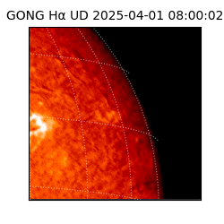gong - 2025-04-01T08:00:02
