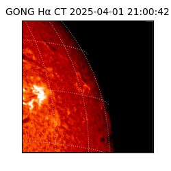 gong - 2025-04-01T21:00:42