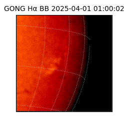 gong - 2025-04-01T01:00:02