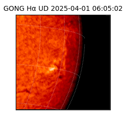 gong - 2025-04-01T06:05:02