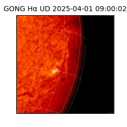 gong - 2025-04-01T09:00:02