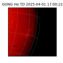 gong - 2025-04-01T17:00:22