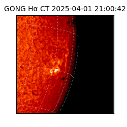 gong - 2025-04-01T21:00:42