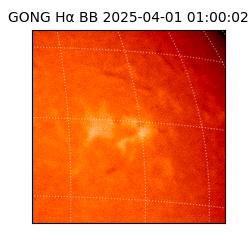 gong - 2025-04-01T01:00:02