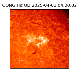 gong - 2025-04-01T04:00:02