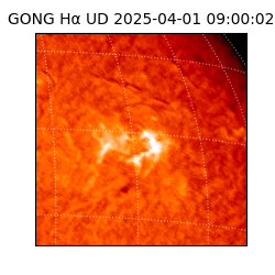 gong - 2025-04-01T09:00:02