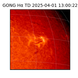 gong - 2025-04-01T13:00:22