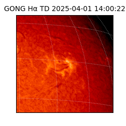 gong - 2025-04-01T14:00:22