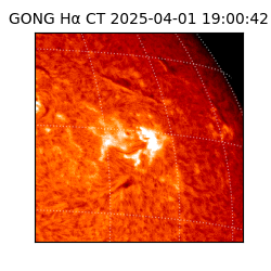 gong - 2025-04-01T19:00:42