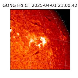 gong - 2025-04-01T21:00:42